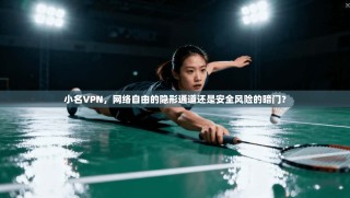 小名VPN，网络自由的隐形通道还是安全风险的暗门？