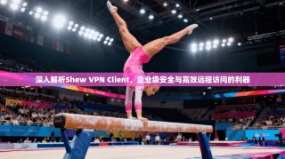 深入解析Shew VPN Client，企业级安全与高效远程访问的利器
