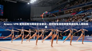 Greezz VPN 使用指南与网络安全建议，如何安全高效地使用虚拟私人网络服务