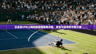 企业级VPN上网权限管理策略详解，安全与效率的平衡之道