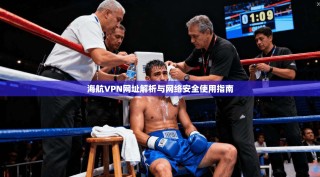 海航VPN网址解析与网络安全使用指南