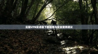 云陌VPN安卓版下载指南与安全使用建议
