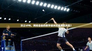沃土VPN，网络自由的数字绿洲还是潜在风险？