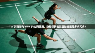 Tor 浏览器与 VPN 的协同使用，隐私保护的双重防线还是多余冗余？