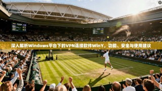 深入解析Windows平台下的VPN连接软件WinY，功能、安全与使用建议