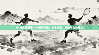 PC端免费翻墙VPN使用指南，技术原理、风险与合法建议