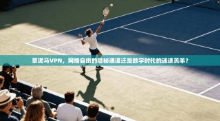 草泥马VPN，网络自由的隐秘通道还是数字时代的迷途羔羊？