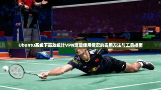 Ubuntu系统下高效统计VPN流量使用情况的实用方法与工具指南