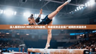 深入解析BGP/MPLS VPN属性，构建高效企业级广域网的关键技术