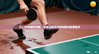 SLL VPN插件详解，安全远程访问的利器与配置要点