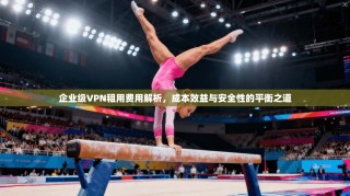 企业级VPN租用费用解析，成本效益与安全性的平衡之道