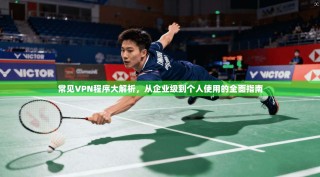 常见VPN程序大解析，从企业级到个人使用的全面指南