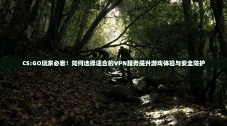 CS:GO玩家必看！如何选择适合的VPN服务提升游戏体验与安全防护