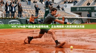 H3C VPN客户端配置与使用指南，企业网络接入的高效解决方案