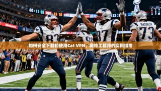 如何安全下载和使用Cat VPN，网络工程师的实用指南