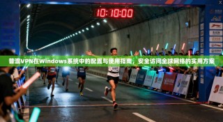 普渡VPN在Windows系统中的配置与使用指南，安全访问全球网络的实用方案