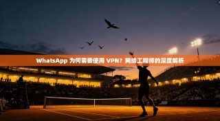 WhatsApp 为何需要使用 VPN？网络工程师的深度解析