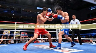 熊猫翻滚VPN，网络自由的便捷陷阱与技术伦理反思