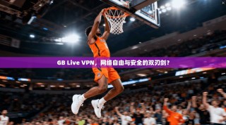 GB Live VPN，网络自由与安全的双刃剑？
