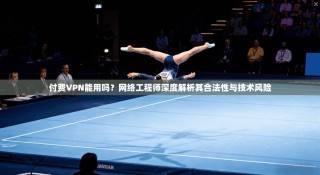 付费VPN能用吗？网络工程师深度解析其合法性与技术风险