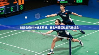 知名动态VPN技术解析，安全与灵活性的完美结合