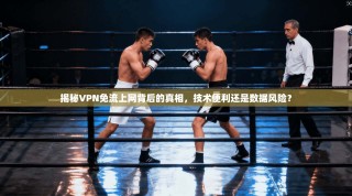 揭秘VPN免流上网背后的真相，技术便利还是数据风险？