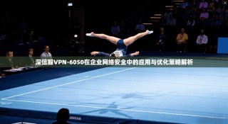 深信服VPN-6050在企业网络安全中的应用与优化策略解析