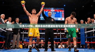 红杏儿VPN，网络自由的便捷陷阱与安全风险解析