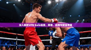 深入解析VPN Gate连接，原理、应用与安全考量