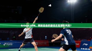 Gringo VPN，网络自由的捷径还是潜在风险？