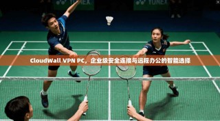 CloudWall VPN PC，企业级安全连接与远程办公的智能选择