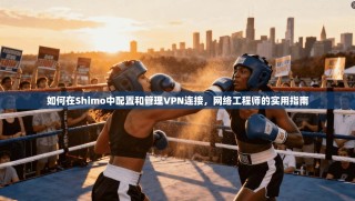 如何在Shimo中配置和管理VPN连接，网络工程师的实用指南