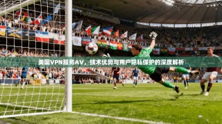 美国VPN服务AV，技术优势与用户隐私保护的深度解析