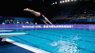 Bettetnet VPN，安全与隐私的网络新选择？