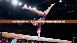 构建可靠代理VPN，企业级网络架构中的安全与稳定性之道