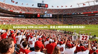 GoldenKey VPN on macOS，安全上网的利器还是潜在风险？