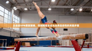 企业级VPN更新策略，保障网络安全与业务连续性的关键步骤