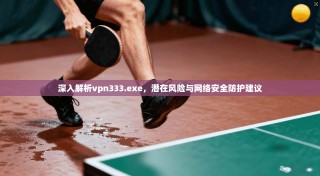 深入解析vpn333.exe，潜在风险与网络安全防护建议