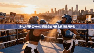 净化大师开启VPN，网络自由与安全的双重守护者