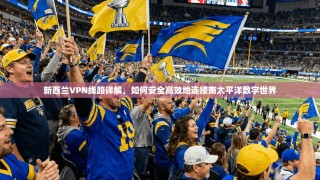 新西兰VPN线路详解，如何安全高效地连接南太平洋数字世界
