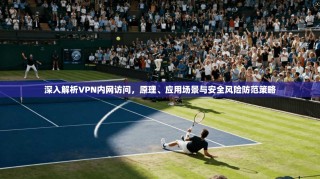 深入解析VPN内网访问，原理、应用场景与安全风险防范策略
