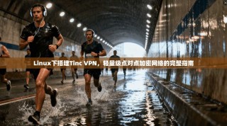 Linux下搭建Tinc VPN，轻量级点对点加密网络的完整指南