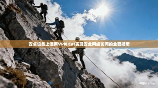 安卓设备上使用VPN Cat实现安全网络访问的全面指南