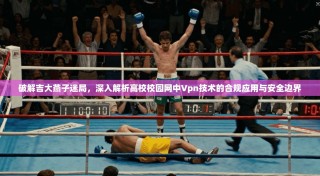 破解吉大燕子迷局，深入解析高校校园网中Vpn技术的合规应用与安全边界