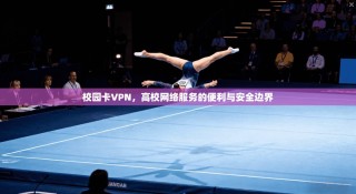 校园卡VPN，高校网络服务的便利与安全边界