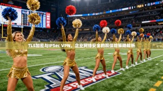 TLS加密与IPSec VPN，企业网络安全的双保险策略解析