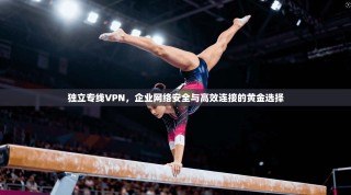 独立专线VPN，企业网络安全与高效连接的黄金选择