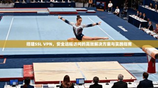 搭建SSL VPN，安全远程访问的高效解决方案与实践指南