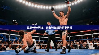 正版VPN网络，安全与合规的数字桥梁