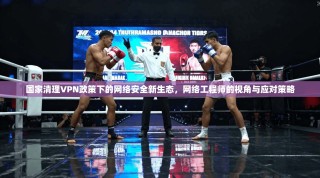 国家清理VPN政策下的网络安全新生态，网络工程师的视角与应对策略